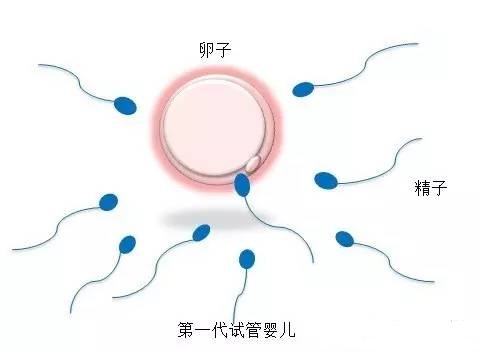 张暖春主任